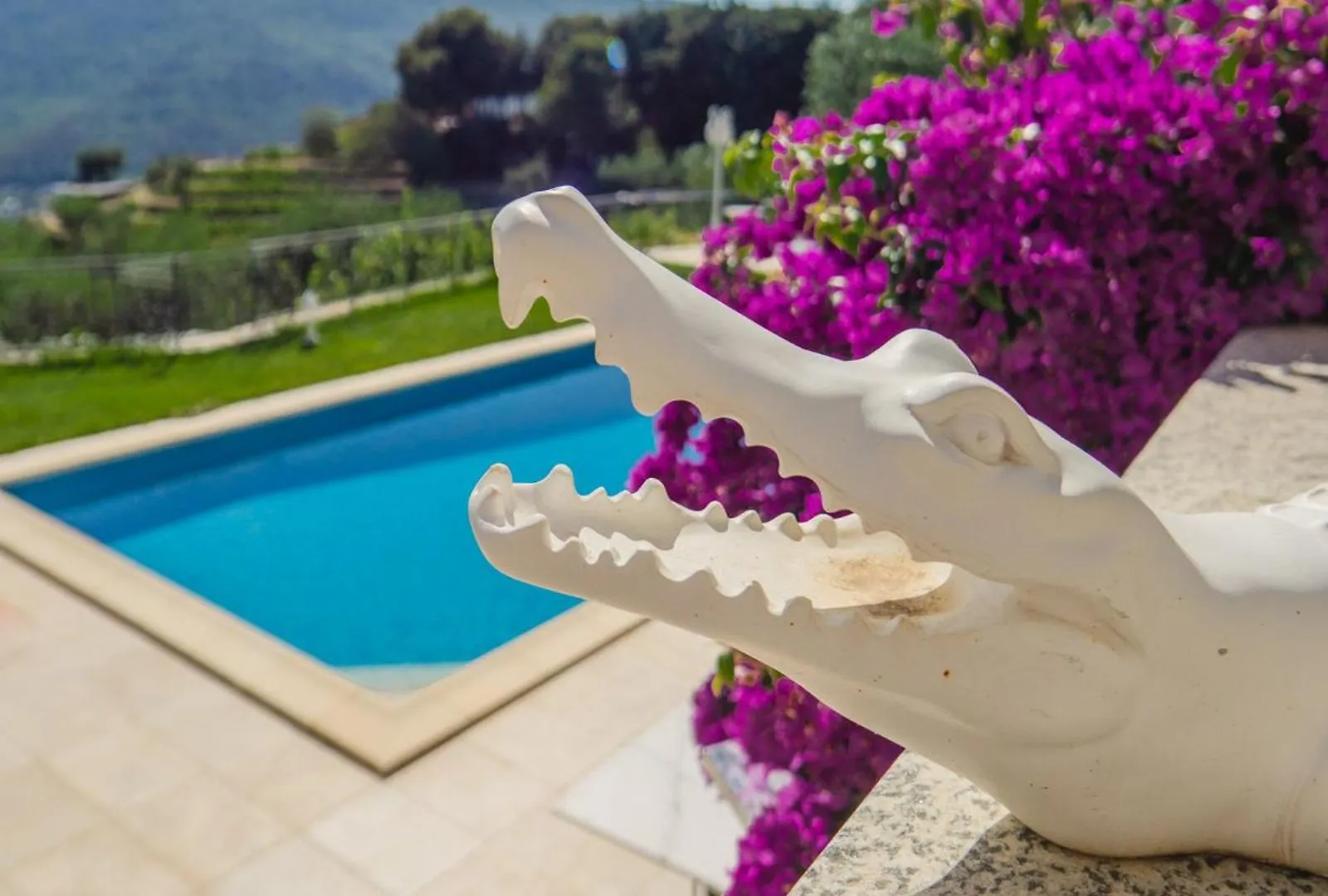 Appartamento In Villa Antonia Laigueglia 0*,